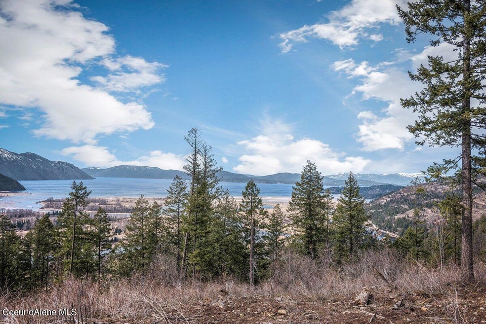 Big Lake Views