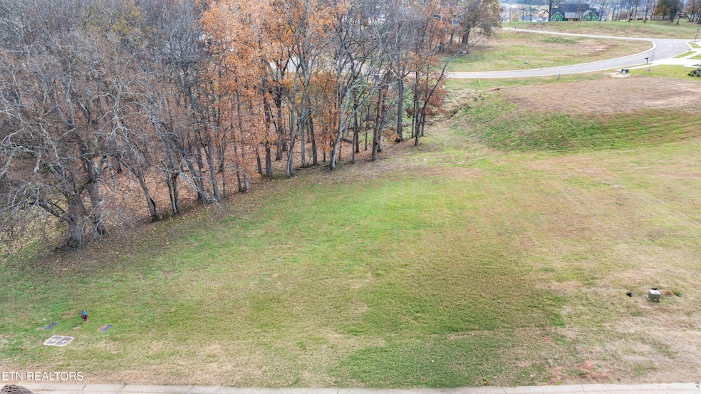 3964 Persimmon Ridge, Loudon, TN 37774 - photo 1