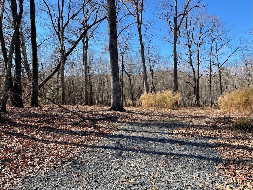 0 Rosemont Rd unit 1051534, Asheboro, NC 27203 - photo 1