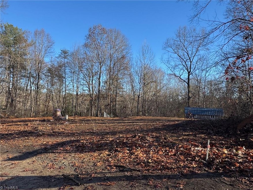 1028 Raccoon Run Ln, Jonesville, NC 28642 - photo 1