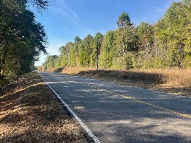 3 ac County Road 404, Elba, AL 36323 - photo 1