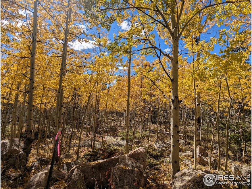 Aspen Grove at the bottom