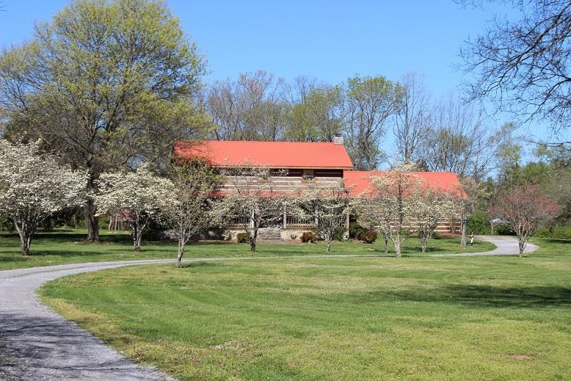 Beautiful Dogwoods Line The Driveway