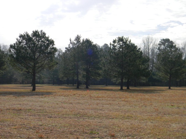 29208 Point a Rd, Andalusia, AL 36421 - photo 1