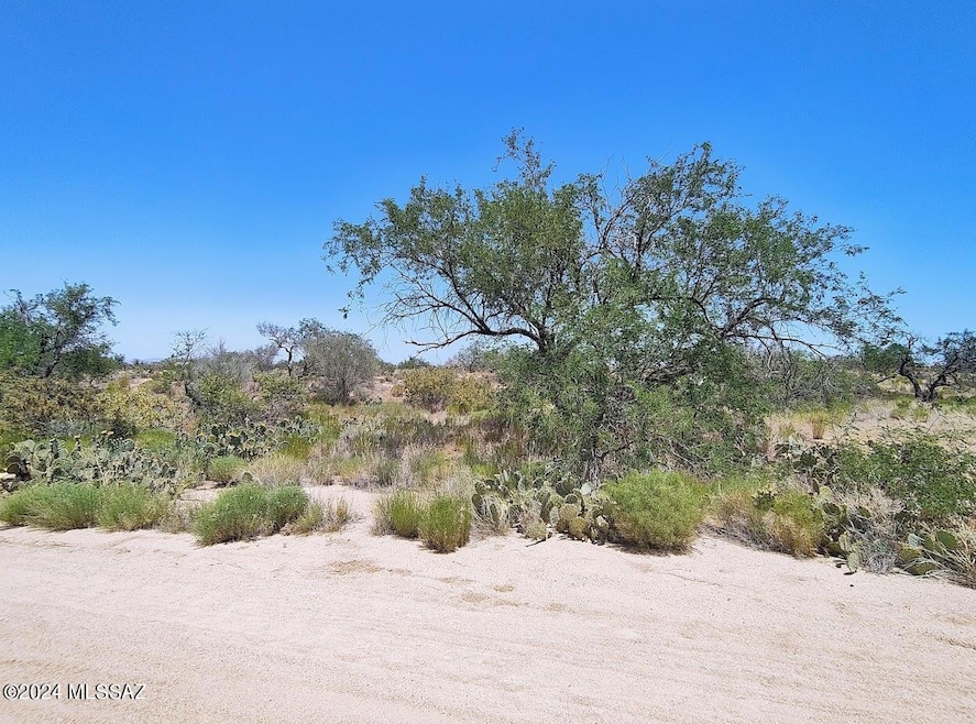 13471 Bruckner Ave unit 416, Tucson, AZ 85736 - photo 1