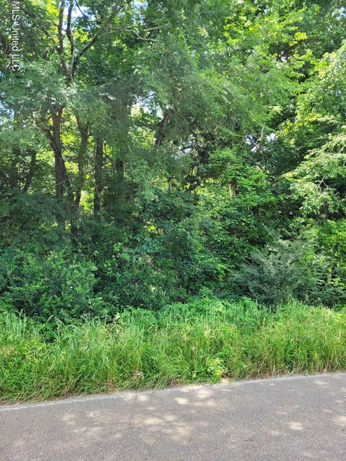 Bush Bottom Rd
