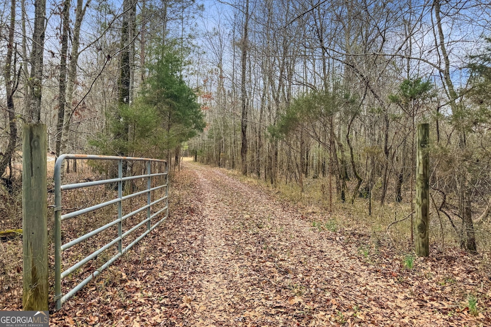 34.61 ACRES Walker Rd, Meansville, GA 30256 - photo 1