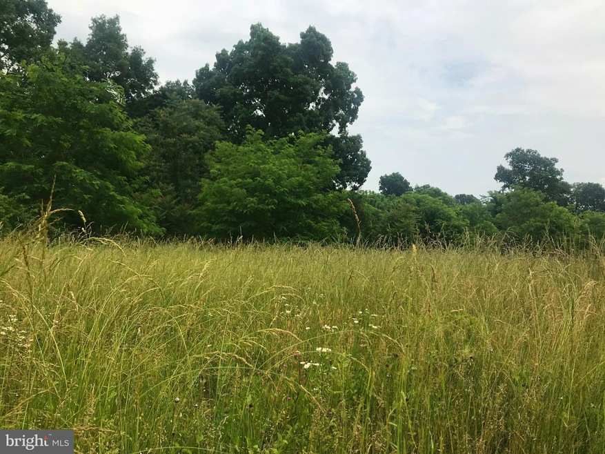 TBD Palmyra Church Rd, Edinburg, VA - photo 1