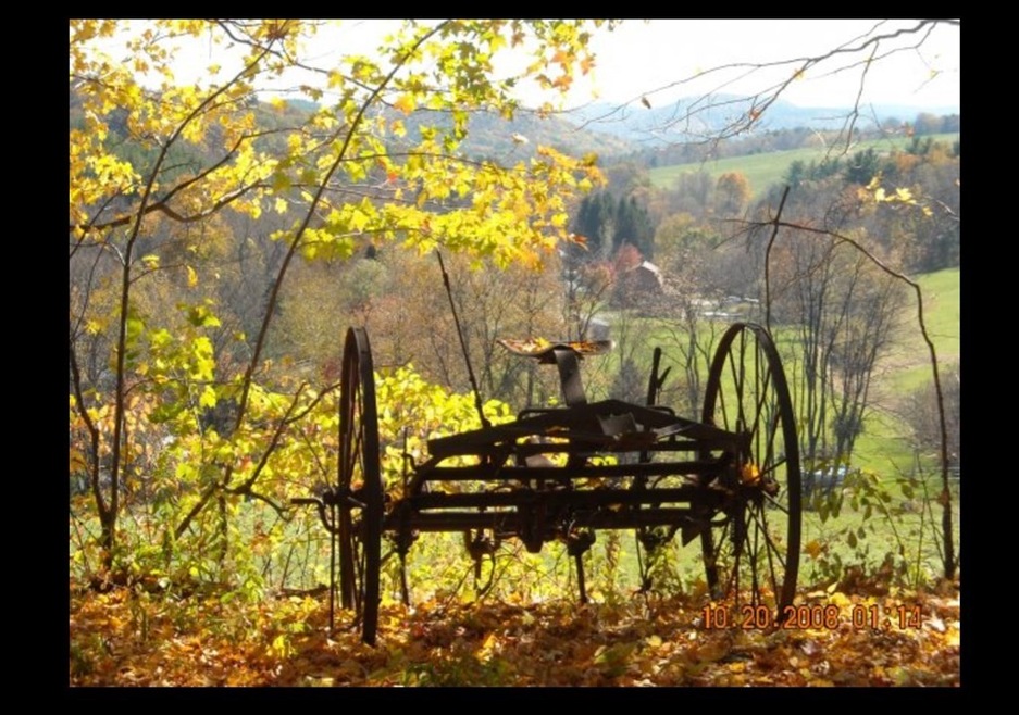 Carousel Image