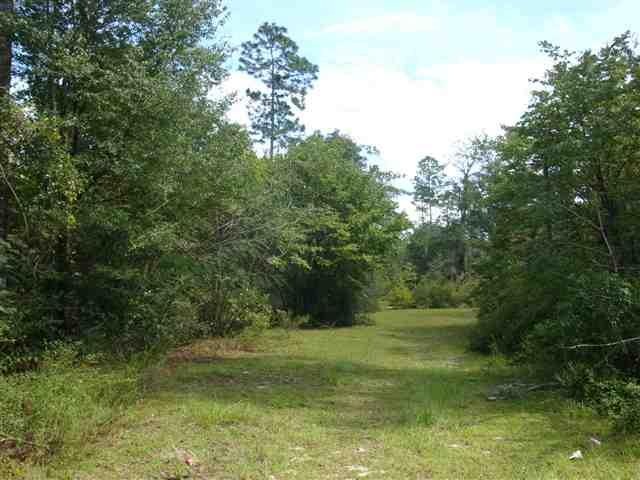 0 Mathers Farm Rd, Crawfordville, FL 32327 - photo 1