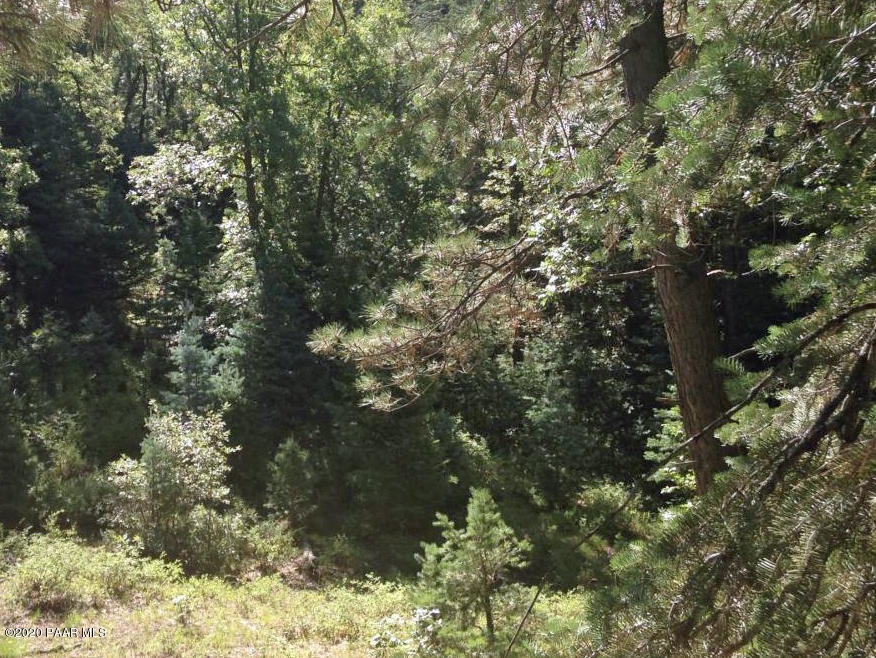 photo-1