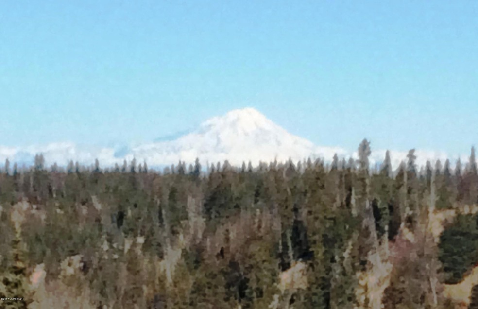 35330 N Fork Rd, Anchor Point, AK 99556 - photo 1