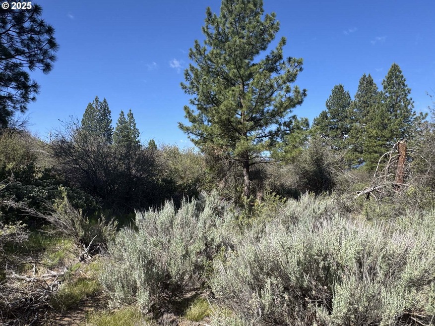 0 Lakeland Rd unit 17 178896656, Chiloquin, OR 97624 - photo 1