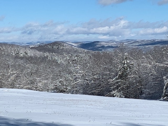 00 Allen Hill Rd, North Pomfret, VT 05053 - photo 1