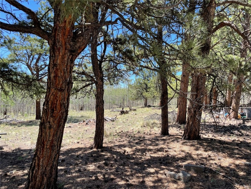 55 Deer Ct, Como, CO 80432 - photo 1