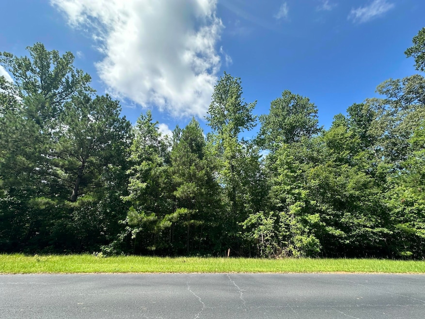 Lot 11 S Pointe Ct, Tignall, GA 30668 - photo 1