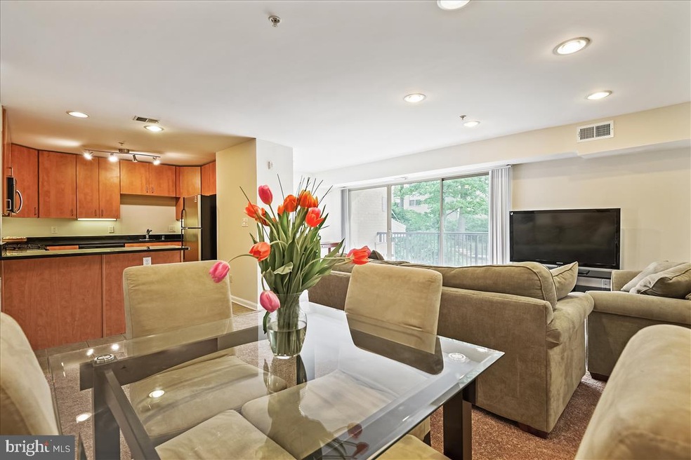 1138 Cove Rd unit 201, Annapolis, MD 21403 - photo 1