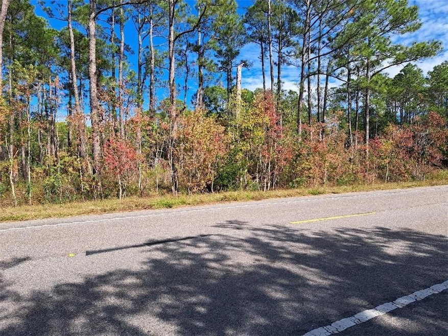View of road