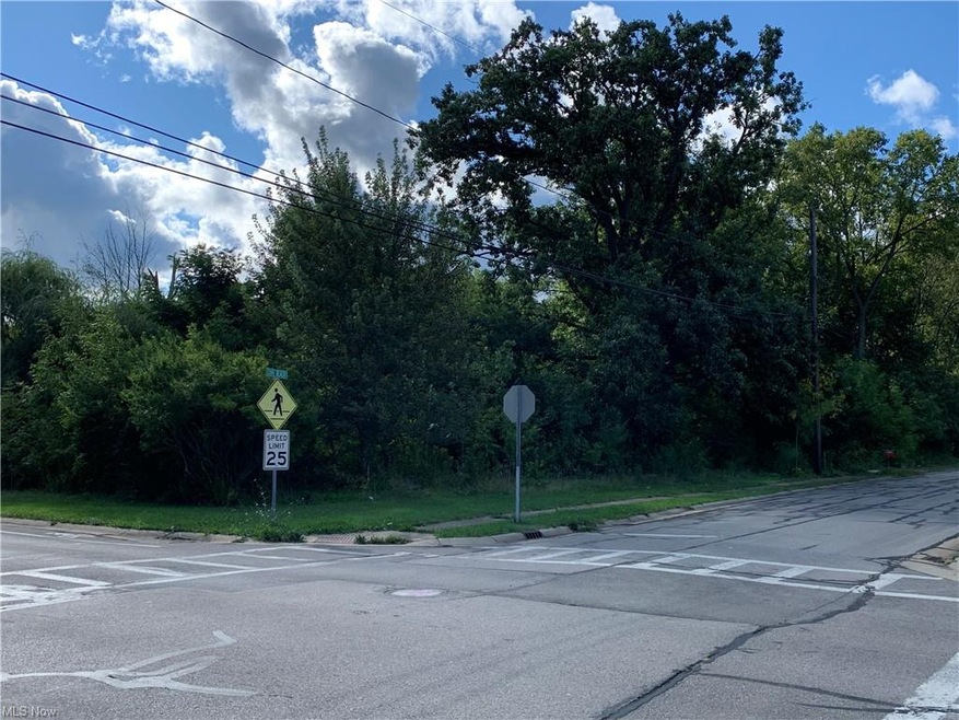 417 Cove Beach Ave, Sheffield Lake, OH 44054 - photo 1