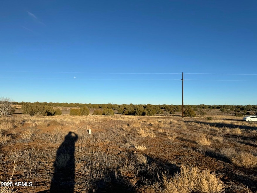 000 White Mountain Lake Rd unit H, Show Low, AZ 85901 - photo 1
