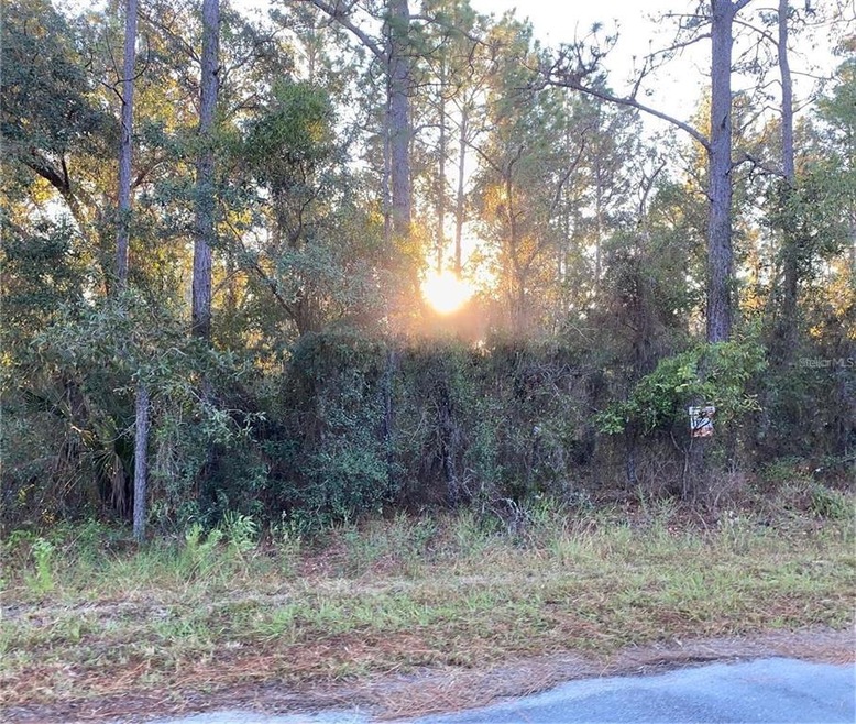 0 SW Viola Ct unit G5054837, Dunnellon, FL 34431 - photo 1