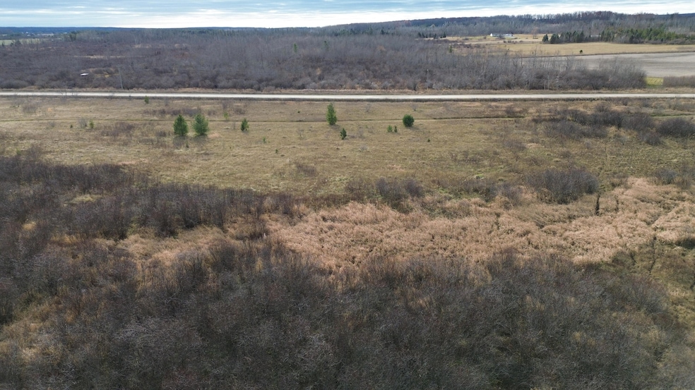 8378 Beaver Lake Rd, Hubbard Lake, MI 49747 - photo 1