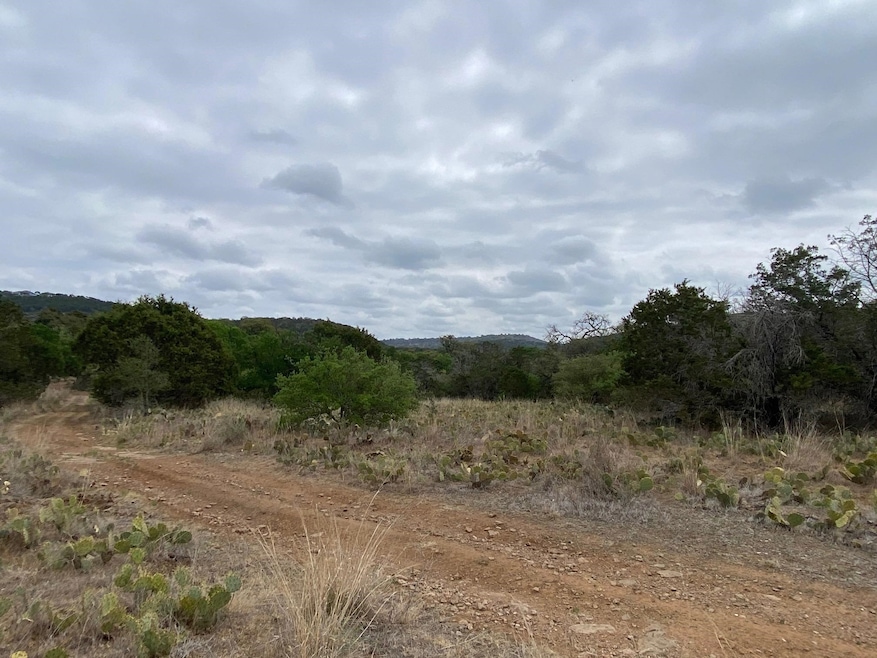 Lot 129 Cr 140, Burnet, TX 78611 - photo 1