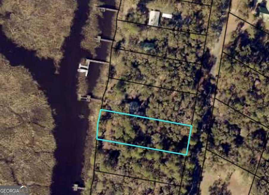 3327 Horseshoe Cove Rd unit LOT 22, Waverly, GA 31565 - photo 1