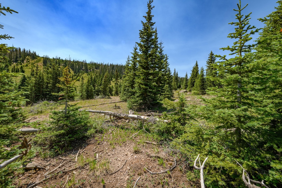 0 Lot 29 Aspen Mdws Se Neighbor unit 112451, Brian Head, UT 84719 - photo 1