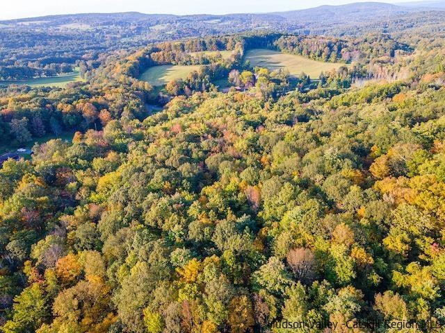 0 Pitts Rd unit 20232833, Chatham, NY 12136 - photo 1