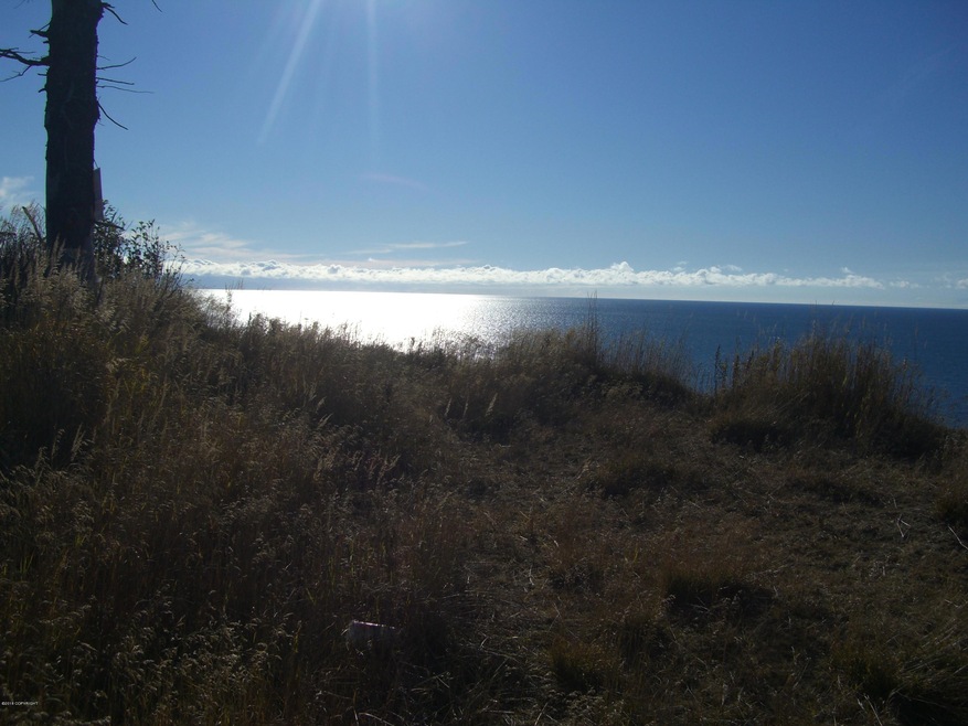 Gillean's Inlet Bluff 6