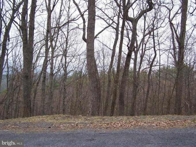 0 Pheasant Dr unit 1000121139, Basye, VA 22810 - photo 1