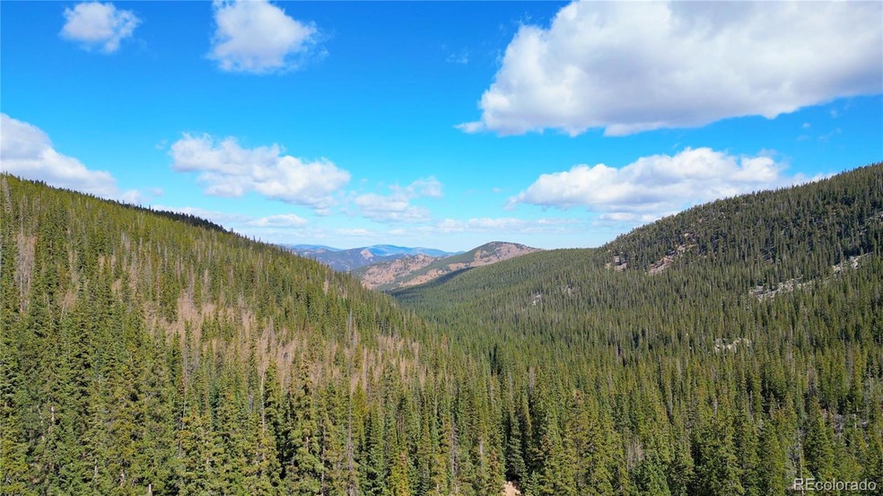 North Lot Chicago Creek Rd, Idaho Springs, CO 80452 - photo 1