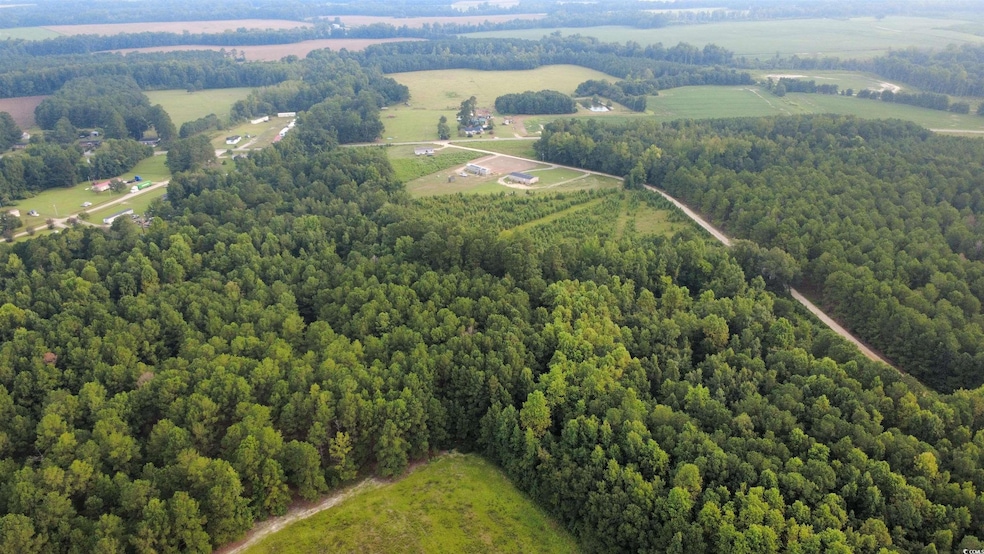 Lot 6 Tooge Hayes Rd, Mullins, SC 29574 - photo 1