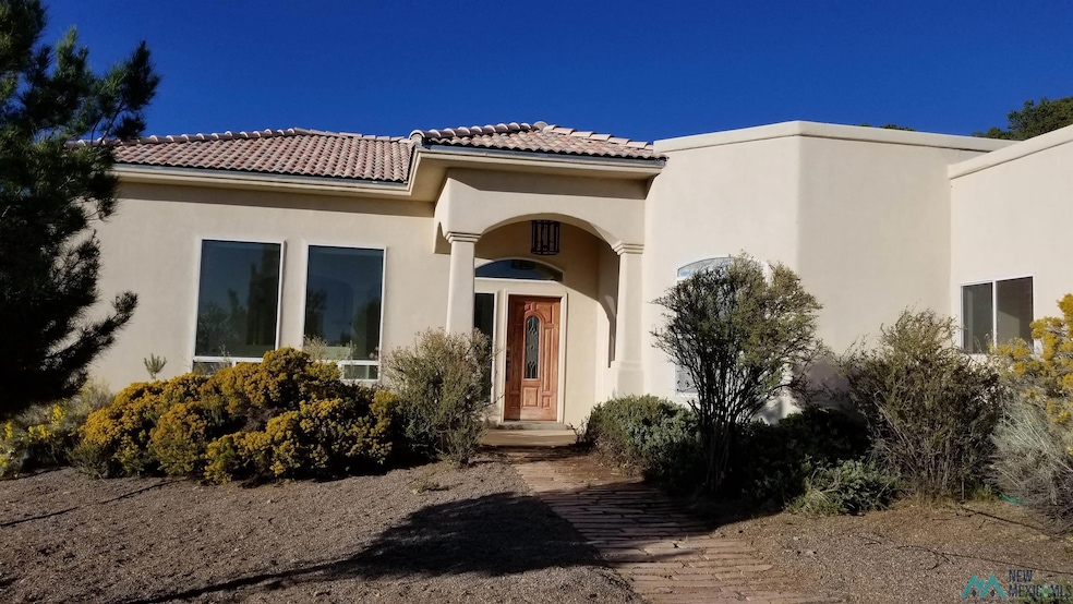 4520 N Swan St, Silver City, NM 88061 - photo 1