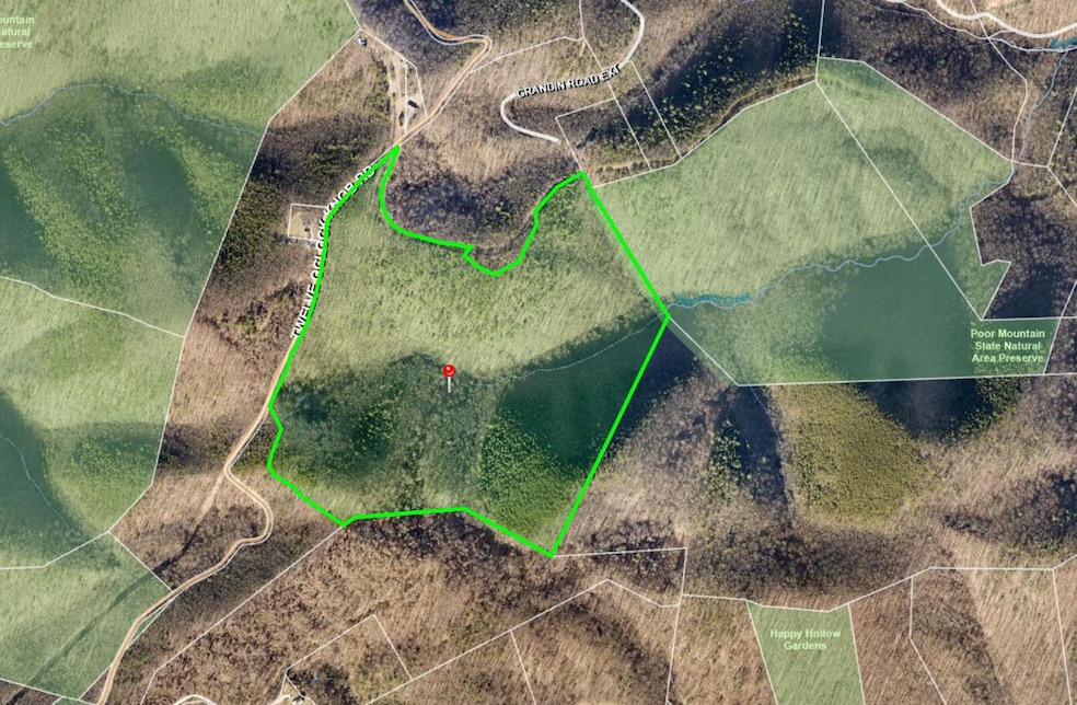 GIS View