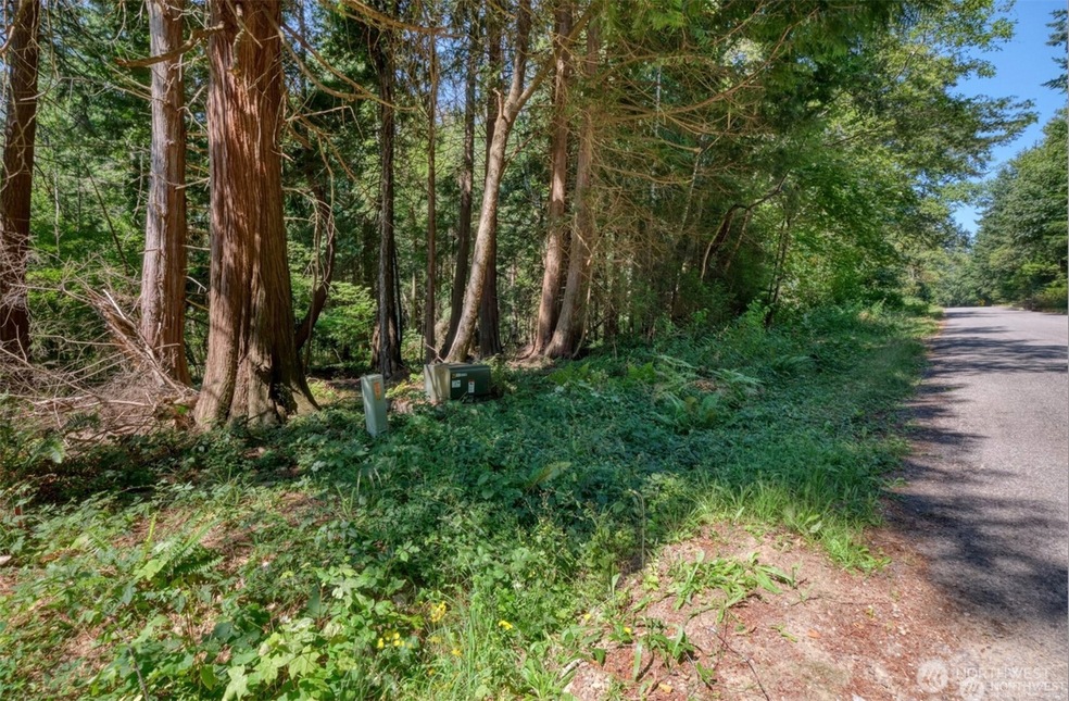 48 Claire Ln, Point Roberts, WA 98281 - photo 1