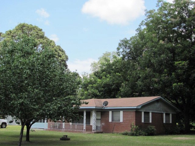 Main View