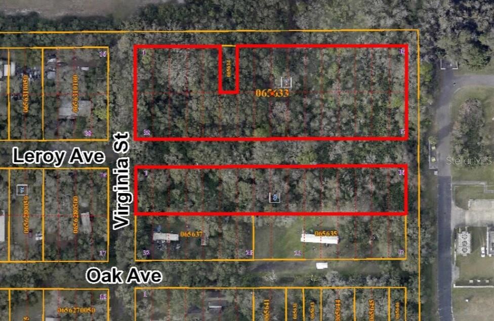 10230 Leroy Ave, Tampa, FL 33619 - photo 1