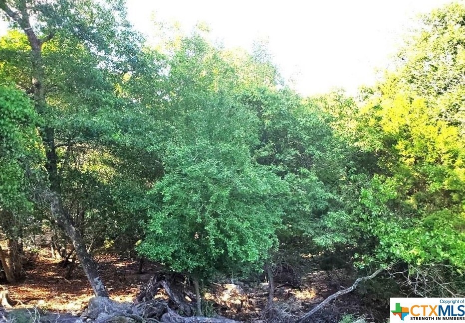 16365 Charlya Dr, Temple, TX 76502 - photo 1