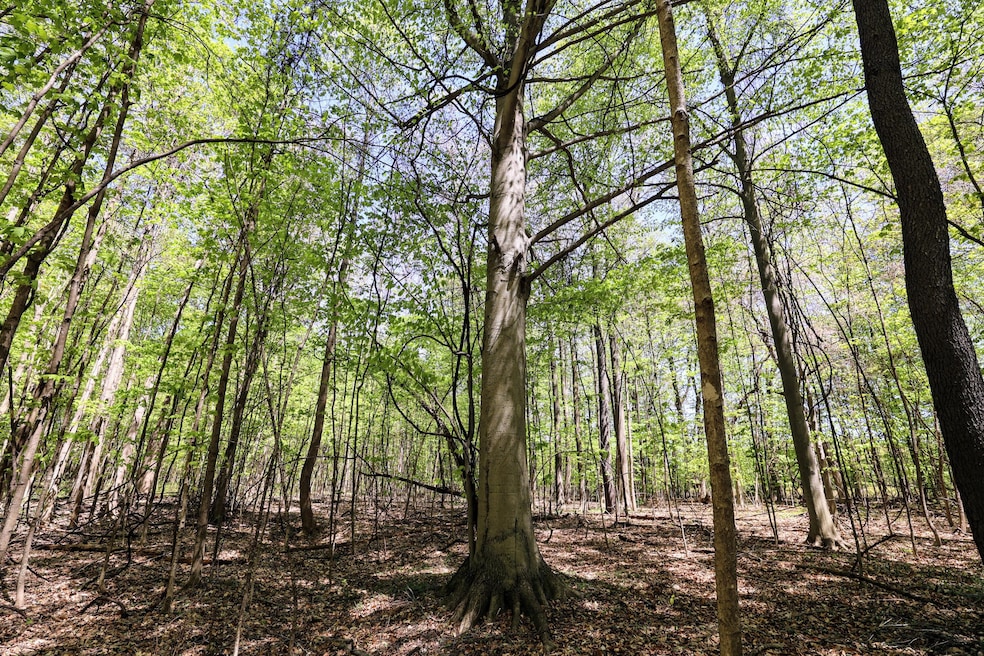 VL Benny Ct (Private) unit Parcel 3, Grand Junction, MI 49056 - photo 1