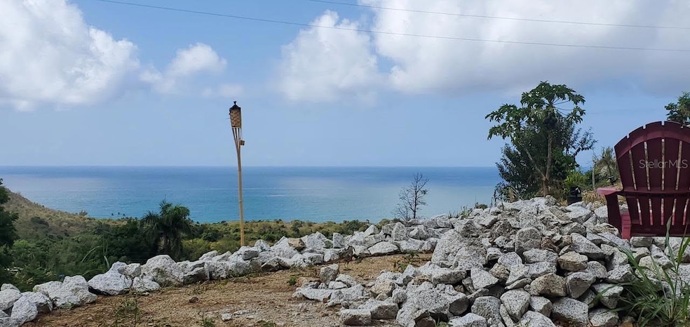 Solar #2 Pr 901, Maunabo, PR 00707 - photo 1