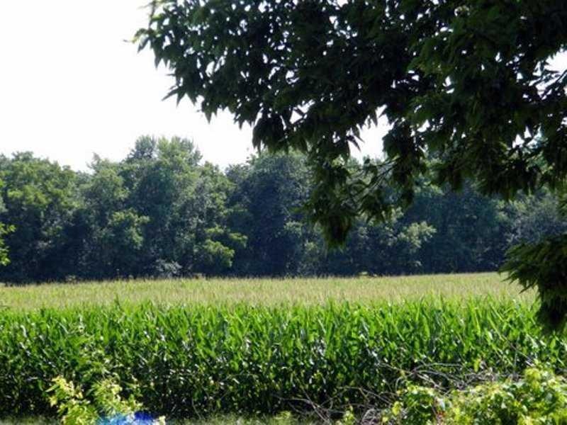 0 S 700 E unit 21246242, Franklin, IN 46131 - photo 1