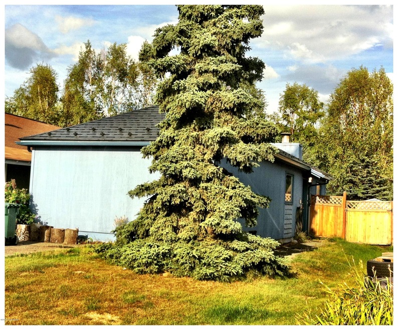 7908 Chaimi Loop