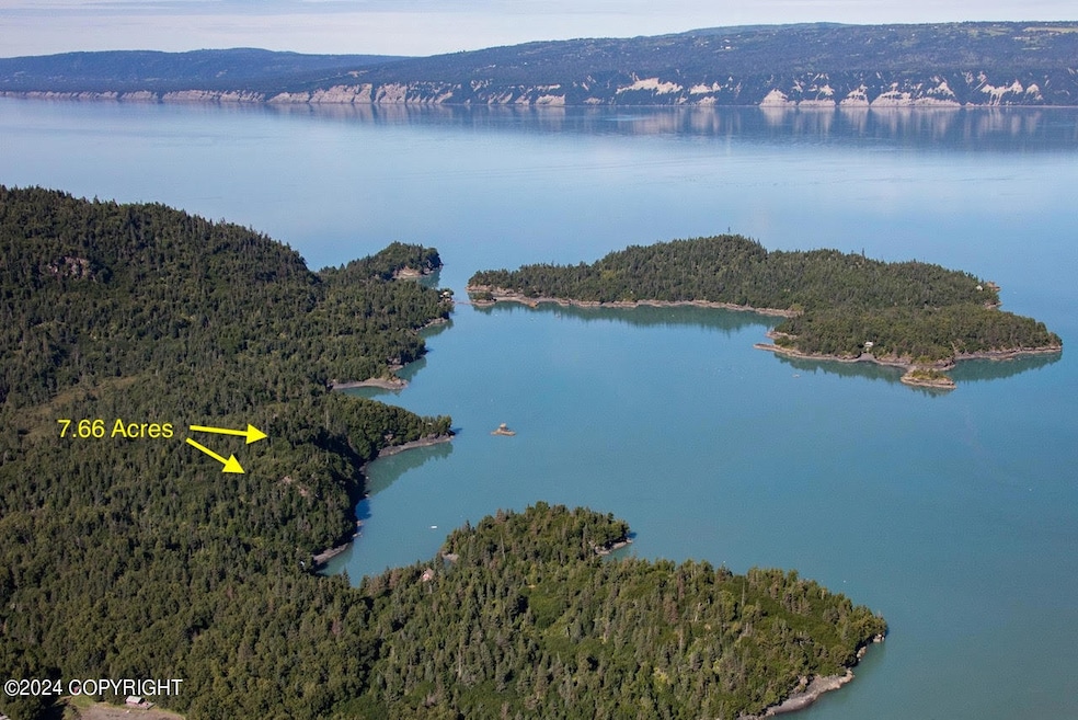 0 SW Bear Cove Lot B unit 24-3344, Homer, AK 99603 - photo 1