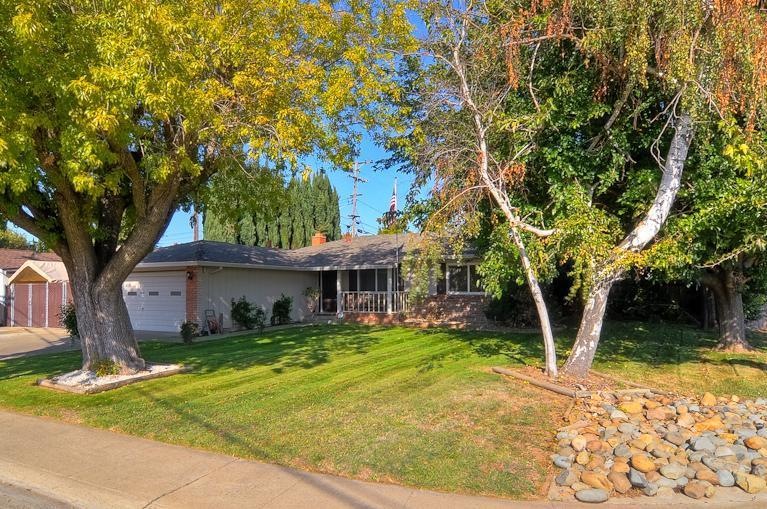 Big front yard with beautiful established shade tr