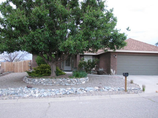 Summer front yard and garage