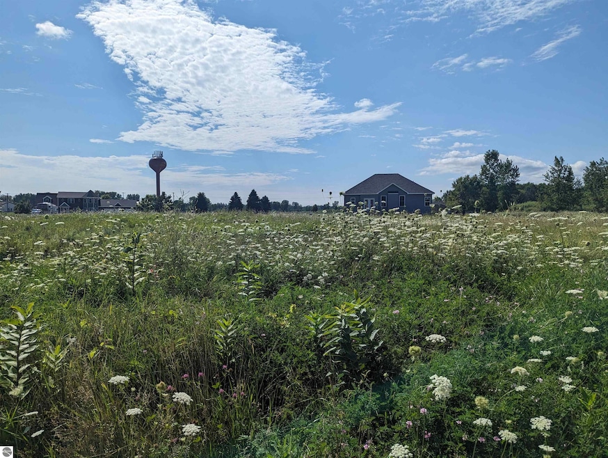 0 S Court St unit 18 1915636, Au Gres, MI 48703 - photo 1