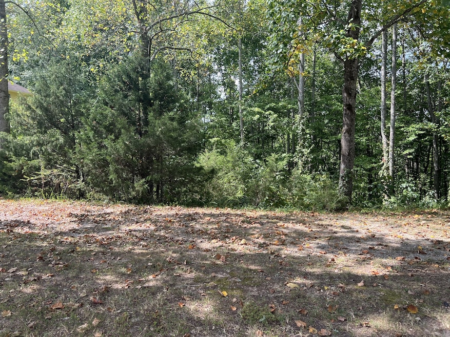 0 Shiloh Ln unit RTC2989873, Smithville, TN 37166 - photo 1