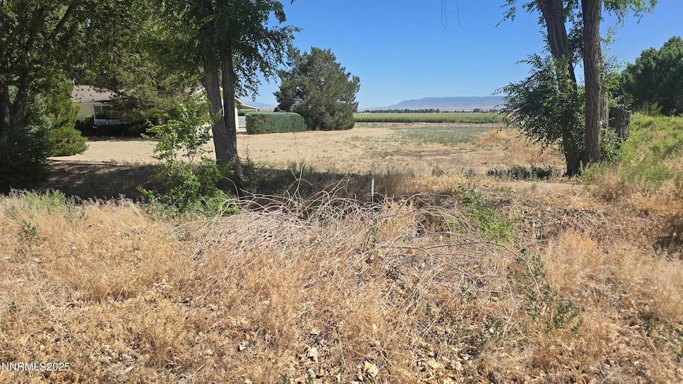 012-131-26 Mason Rd, Yerington, NV 89447 - photo 1